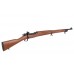 M1903 Springfield (ACM)